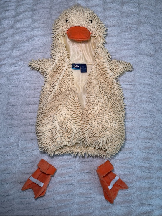 Other - Dream Play Duck Costume 18 24M